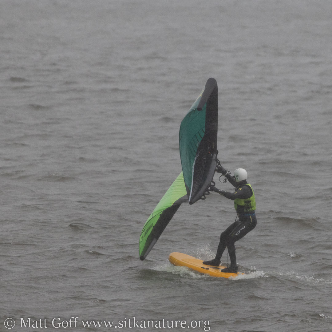 Wind/Kite Surfing