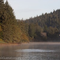 Fall Day at Swan Lake