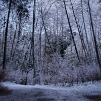 Sitka National Historical Park Trail in the Snow