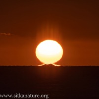 Omega Sun Framing 6 Mile (Kulichkof) Rock