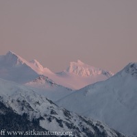 Alpenglow on Peak 5390