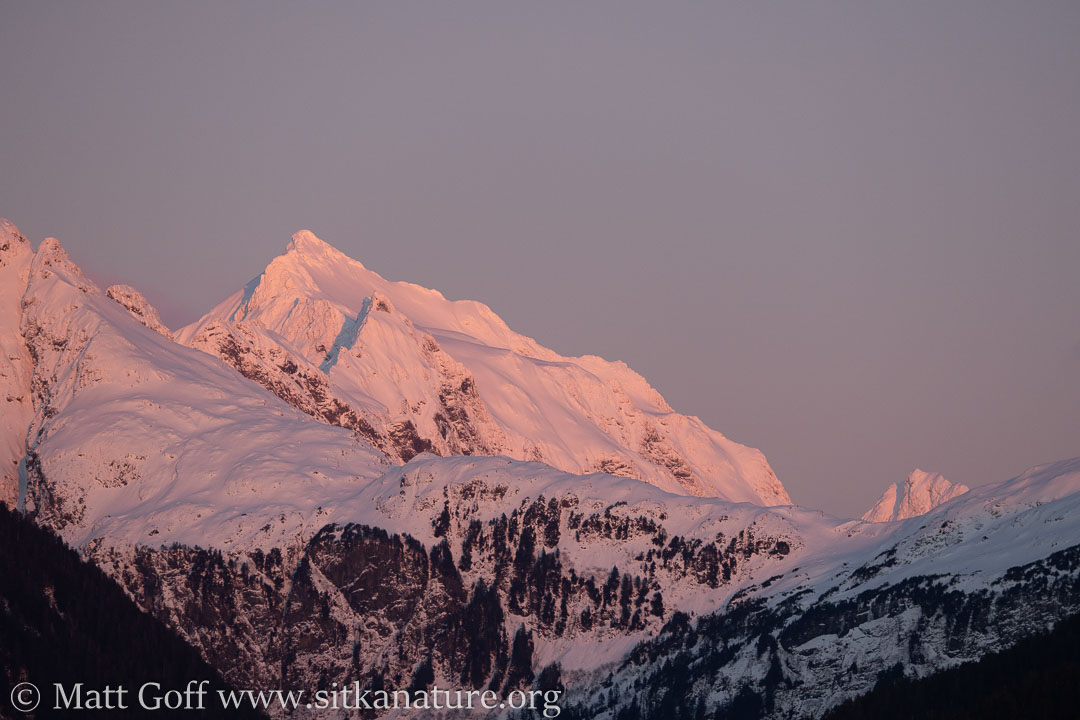 Alpen Glow on Peak 4900