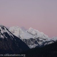 Pastel Skies over the Sisters