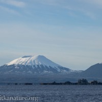 Mt. Edgecumbe at Midday