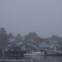 Gray Day at the Channel