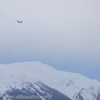 Alaska Airlines Approach over Lucky Chance