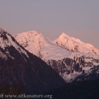Alpenglow on the Sisters