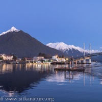 Blue Hour View of the Channel