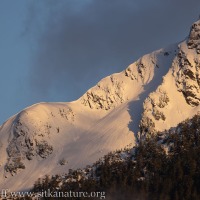 Light on Snowy Verstovia Ridge