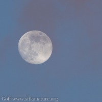 Moon with Pink louds against Blue Sky