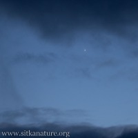 Venus(?) in the Twilight Sky