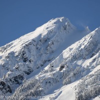 Snowy Arrowhead Peak of Verstovia