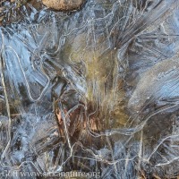 Ice Along Indian River Trail