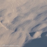 Snow Surface Texture