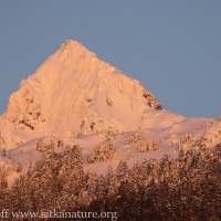 Alpenglow and Trails Through the Snow