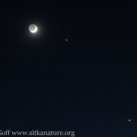 Crescent Moon, Jupiter, and Venus