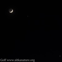 Crescent Moon, Jupiter, and Venus