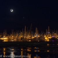 Moon and Jupiter over Eliason Harbor