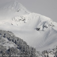 Bear Mountain Snow