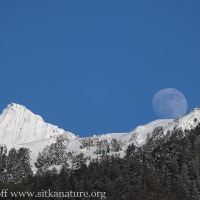 Moon Rising above Verstovia