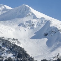 Snow Textures on Bear Mountain