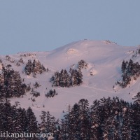 Alpenglow and Tracks on Picnic Rock