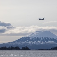 Alaska Airlines on Final Approach over Mt. Edgecumbe