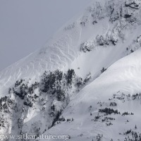 Snow Textures on a Mountain Ridge