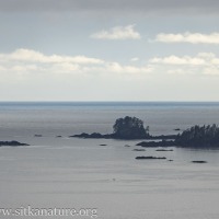 View of Sitka Sound