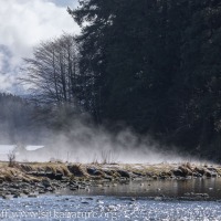 Steaming Estuary Meadow