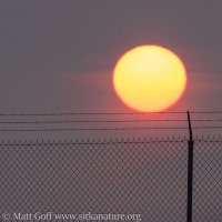 Fence and Smoky Sun